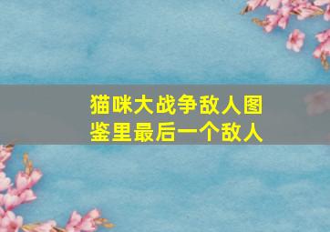 猫咪大战争敌人图鉴里最后一个敌人