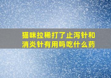 猫咪拉稀打了止泻针和消炎针有用吗吃什么药