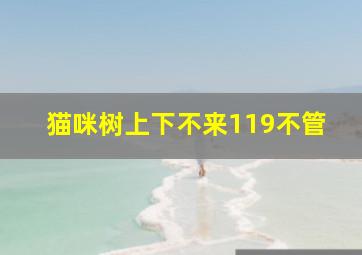 猫咪树上下不来119不管