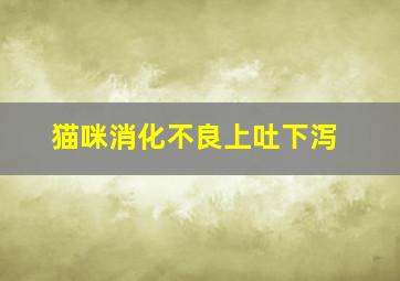 猫咪消化不良上吐下泻