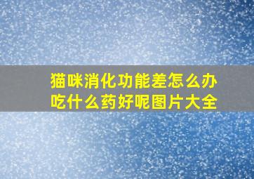 猫咪消化功能差怎么办吃什么药好呢图片大全