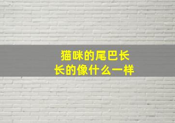 猫咪的尾巴长长的像什么一样