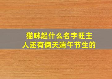 猫咪起什么名字旺主人还有俩天端午节生的