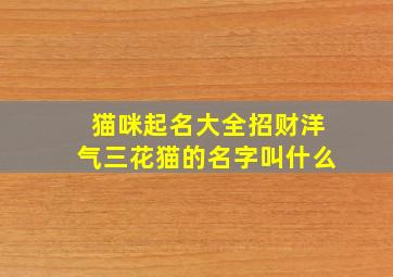 猫咪起名大全招财洋气三花猫的名字叫什么