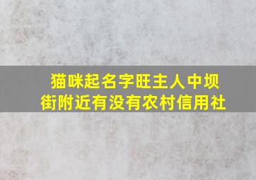 猫咪起名字旺主人中坝街附近有没有农村信用社