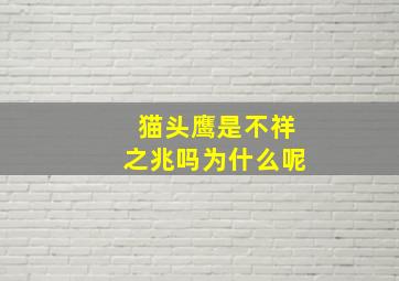 猫头鹰是不祥之兆吗为什么呢