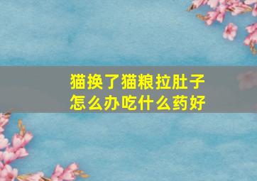 猫换了猫粮拉肚子怎么办吃什么药好