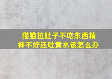 猫猫拉肚子不吃东西精神不好还吐黄水该怎么办