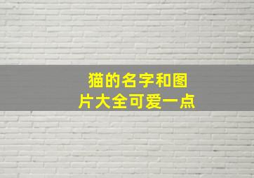 猫的名字和图片大全可爱一点