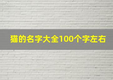 猫的名字大全100个字左右