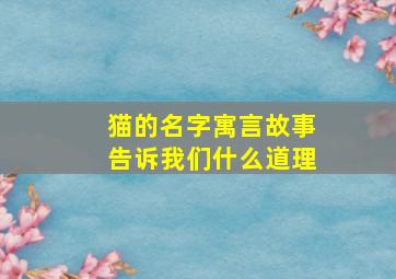 猫的名字寓言故事告诉我们什么道理