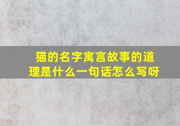 猫的名字寓言故事的道理是什么一句话怎么写呀