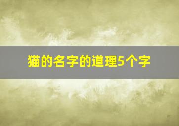 猫的名字的道理5个字