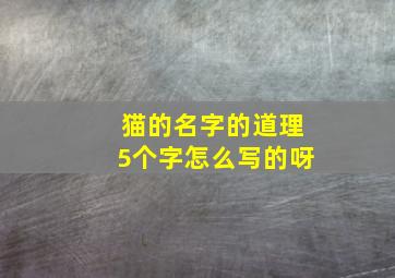 猫的名字的道理5个字怎么写的呀