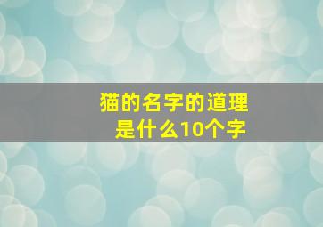 猫的名字的道理是什么10个字