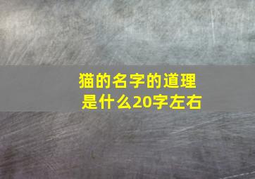 猫的名字的道理是什么20字左右