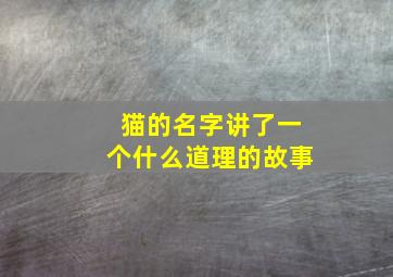 猫的名字讲了一个什么道理的故事