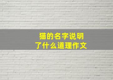 猫的名字说明了什么道理作文