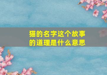 猫的名字这个故事的道理是什么意思