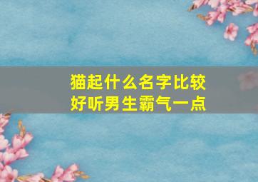 猫起什么名字比较好听男生霸气一点