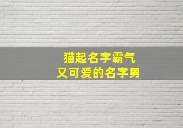 猫起名字霸气又可爱的名字男