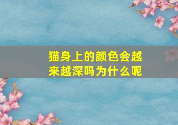 猫身上的颜色会越来越深吗为什么呢