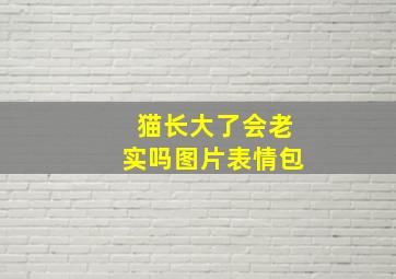 猫长大了会老实吗图片表情包