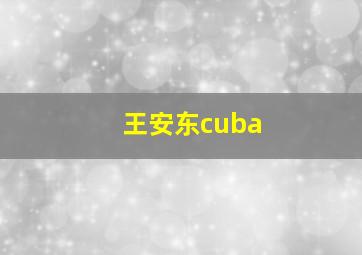 王安东cuba