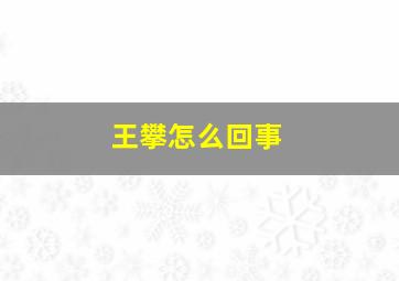 王攀怎么回事