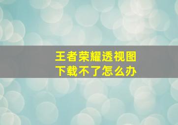 王者荣耀透视图下载不了怎么办