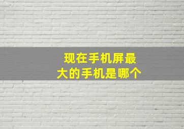 现在手机屏最大的手机是哪个