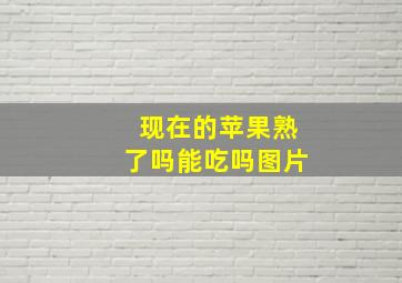 现在的苹果熟了吗能吃吗图片