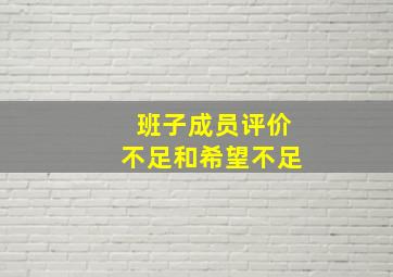 班子成员评价不足和希望不足