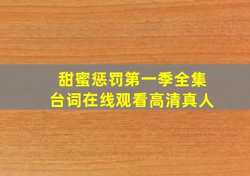 甜蜜惩罚第一季全集台词在线观看高清真人