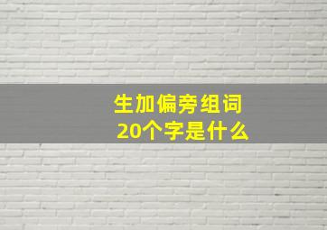 生加偏旁组词20个字是什么