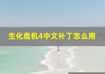 生化危机4中文补丁怎么用