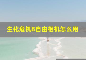 生化危机8自由相机怎么用