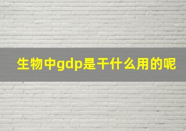 生物中gdp是干什么用的呢