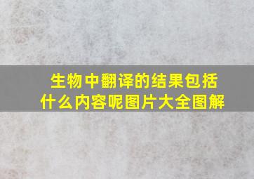 生物中翻译的结果包括什么内容呢图片大全图解