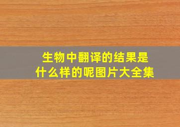 生物中翻译的结果是什么样的呢图片大全集