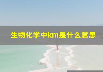 生物化学中km是什么意思