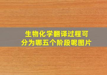 生物化学翻译过程可分为哪五个阶段呢图片