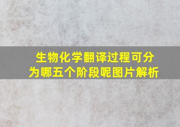 生物化学翻译过程可分为哪五个阶段呢图片解析