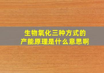 生物氧化三种方式的产能原理是什么意思啊