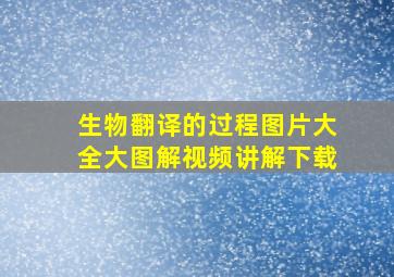 生物翻译的过程图片大全大图解视频讲解下载