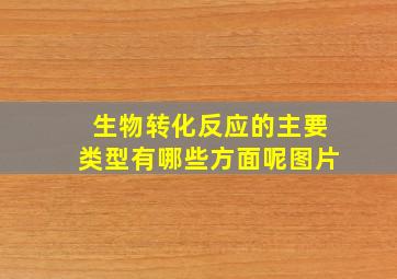 生物转化反应的主要类型有哪些方面呢图片