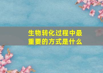 生物转化过程中最重要的方式是什么