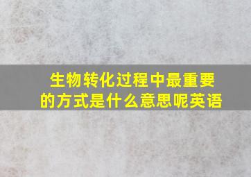 生物转化过程中最重要的方式是什么意思呢英语