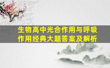 生物高中光合作用与呼吸作用经典大题答案及解析