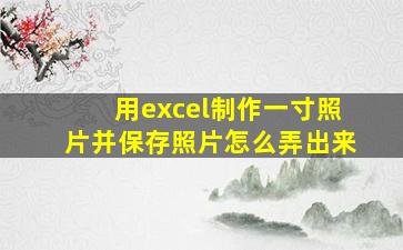 用excel制作一寸照片并保存照片怎么弄出来